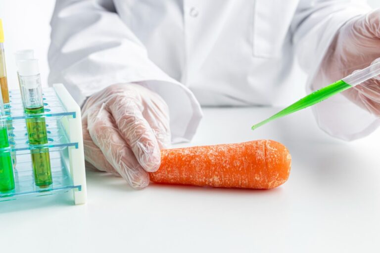 El debate sin fin: los alimentos transgénicos en la producción de alimentos, ¿sí o no?