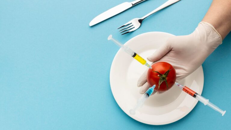 Los mitos y las verdades menos conocidas de la comida transgénica