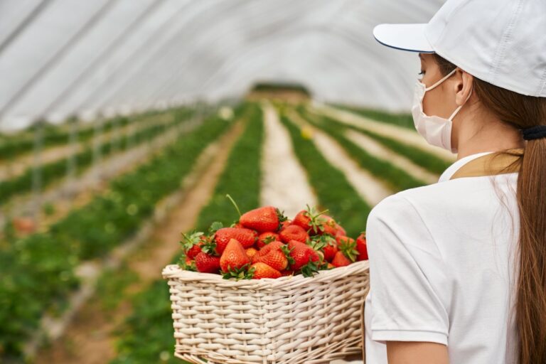 El lado oculto de la agricultura intensiva que impacta directo en el medio ambiente