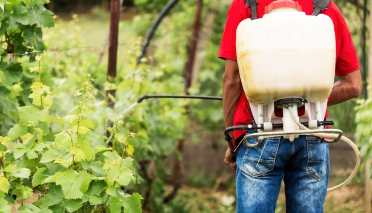 La sustancia que la agricultura desea eliminar por un peligroso motivo: está en los alimentos y afecta a todos