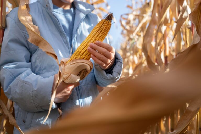 Biopreparados, los aliados naturales para controlar las enfermedades de los cultivos